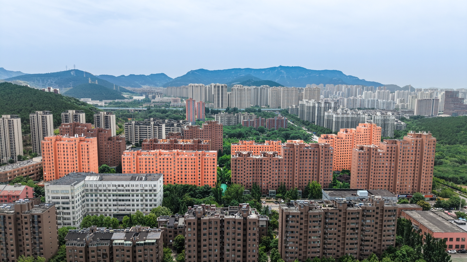 天泰·太阳树